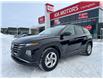 2023 Hyundai Tucson Preferred (Stk: 4-P268) in Bowmanville - Image 1 of 38