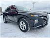 2023 Hyundai Tucson Preferred (Stk: 4-P268) in Bowmanville - Image 7 of 38