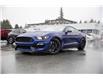2016 Ford Shelby GT350 Base (Stk: 25EX2725A) in Vancouver - Image 3 of 20