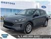 2022 Ford Escape SE (Stk: B85173) in Okotoks - Image 1 of 26