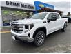 2025 GMC Sierra 1500 SLE (Stk: M1065-25) in Courtenay - Image 1 of 13