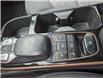 2018 Hyundai Ioniq EV SE in Ottawa - Image 2 of 29
