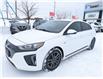 2018 Hyundai Ioniq EV SE in Ottawa - Image 23 of 29