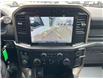 2024 Ford F-150 STX (Stk: 14-F3785) in Bobcaygeon - Image 20 of 28