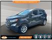 2019 Ford EcoSport SE (Stk: 259571) in Lower Sackville - Image 1 of 23