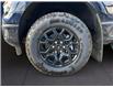 2025 Ford F-150 XLT (Stk: 11967) in Golden - Image 16 of 17