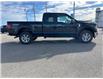 2025 Ford F-150 XLT (Stk: 25056) in High River - Image 6 of 17