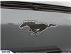 2025 Ford Mustang Mach-E Premium (Stk: 6-25ME0279) in Whitby - Image 9 of 12