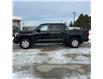 2025 Toyota Tundra SR (Stk: 21269) in Collingwood - Image 2 of 12