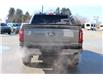 2025 Ford F-150 XLT (Stk: LT255) in Harrow - Image 6 of 19