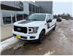 2019 Ford F-150 XLT (Stk: 24294) in Pembroke - Image 4 of 29