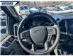 2022 Ford F-250 XLT (Stk: P7898) in Dartmouth - Image 13 of 24