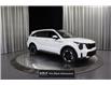 2025 Kia Sorento Hybrid SX (Stk: 25935) in Edmonton - Image 1 of 30