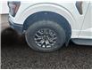2025 Ford F-150 Tremor (Stk: 25T021) in ROCKY MOUNTAIN HOUSE - Image 14 of 15