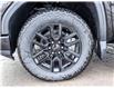 2025 GMC Sierra 1500 Elevation (Stk: 17775) in Casselman - Image 19 of 25