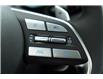 2025 Hyundai Palisade Ultimate Calligraphy (Stk: S25429) in Ottawa - Image 24 of 43