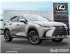 2025 Lexus NX 350 Base (Stk: 25361) in Toronto - Image 1 of 25