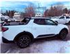 2023 Hyundai Santa Cruz Preferred (Stk: A-047595) in Moncton - Image 7 of 20