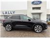 2025 Ford Escape Platinum (Stk: LFEP00760) in Tilbury - Image 2 of 15