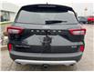 2025 Ford Escape Platinum (Stk: LFEP00760) in Tilbury - Image 4 of 15