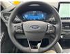2025 Ford Escape Platinum (Stk: LFEP00760) in Tilbury - Image 11 of 15