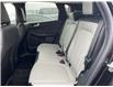 2025 Ford Escape Platinum (Stk: LFEP00760) in Tilbury - Image 15 of 15
