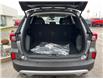 2025 Ford Escape Active (Stk: LFEP00761) in Tilbury - Image 5 of 15