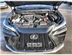 2022 Lexus NX 350 Base (Stk: 004184) in Ottawa - Image 24 of 24