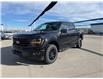 2025 Ford F-150 XLT (Stk: 5T7867) in Cardston - Image 1 of 13