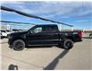 2025 Ford F-150 XLT (Stk: 5T7867) in Cardston - Image 2 of 13