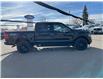 2025 Ford F-150 XLT (Stk: 5T7867) in Cardston - Image 6 of 13