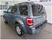 2011 Ford Escape XLT Automatic (Stk: 250045A) in Mississauga - Image 5 of 17
