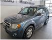 2011 Ford Escape XLT Automatic (Stk: 250045A) in Mississauga - Image 3 of 17