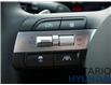 2025 Hyundai Santa Cruz Ultimate AWD (Stk: 137703) in Whitby - Image 14 of 33