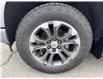 2025 Chevrolet Silverado 1500 High Country (Stk: 25089) in Green Valley - Image 14 of 14