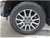 2019 Ford Ranger Lariat (Stk: P5366A) in Casselman - Image 10 of 23