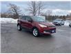 2016 Ford Escape SE (Stk: 25002B) in Madoc - Image 3 of 17