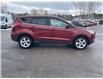 2016 Ford Escape SE (Stk: 25002B) in Madoc - Image 4 of 17