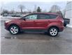 2016 Ford Escape SE (Stk: 25002B) in Madoc - Image 7 of 17