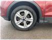 2016 Ford Escape SE (Stk: 25002B) in Madoc - Image 17 of 17