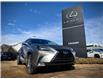 2021 Lexus NX 300 Base (Stk: 250569A) in Calgary - Image 7 of 23