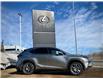 2021 Lexus NX 300 Base (Stk: 250569A) in Calgary - Image 2 of 23