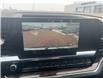 2025 GMC Sierra 1500 SLE (Stk: 25-157) in Pembroke - Image 10 of 13