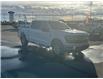 2025 Ford F-150 XLT (Stk: 25T017) in ROCKY MOUNTAIN HOUSE - Image 7 of 15