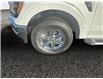 2025 Ford F-150 XLT (Stk: 25T017) in ROCKY MOUNTAIN HOUSE - Image 14 of 15