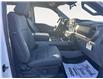 2025 Ford F-150 XLT (Stk: 25T017) in ROCKY MOUNTAIN HOUSE - Image 15 of 15