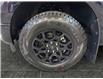 2025 Ford F-150 XLT (Stk: S9579) in ROSETOWN - Image 17 of 17