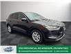 2023 Ford Escape Active (Stk: TL78705) in Windsor - Image 10 of 28
