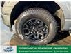 2025 Ford F-150 XLT (Stk: FS29636) in Windsor - Image 3 of 25
