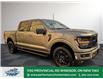 2025 Ford F-150 XLT (Stk: FS29636) in Windsor - Image 10 of 25